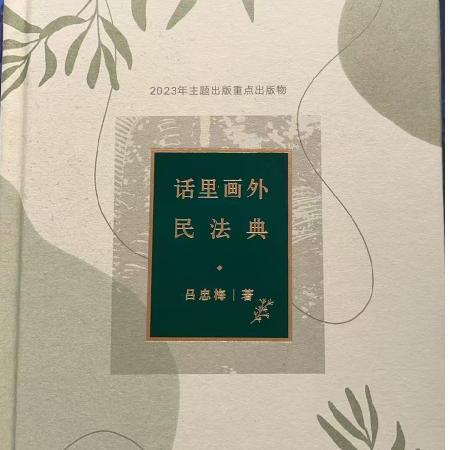 【德宏新华04】话里画外 民法典