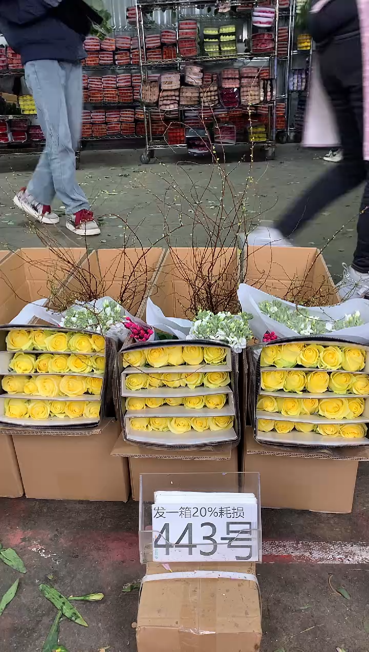 443号♥中通含20%耗损发一箱鲜花