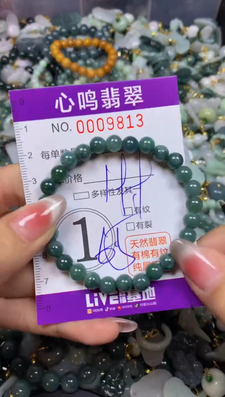 【闪购商品】翡翠颈饰未镶嵌闪购009813