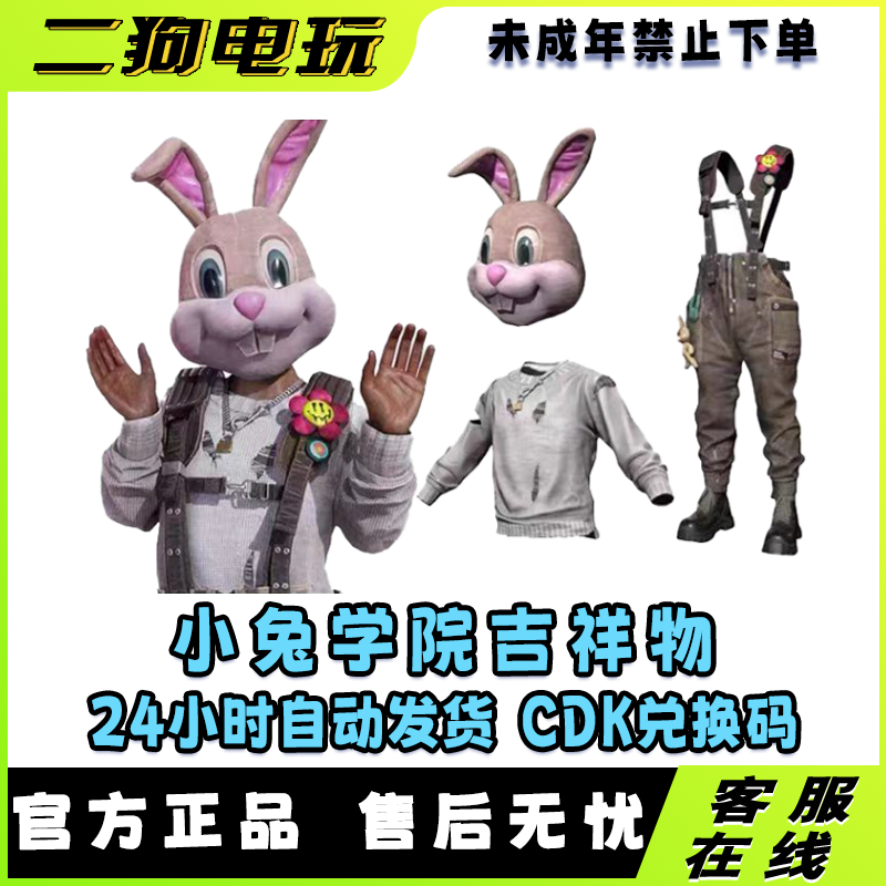 PUBG绝地求生小兔吉祥物套装CDK吊带裤CDK兑换码【未成年禁止下单】