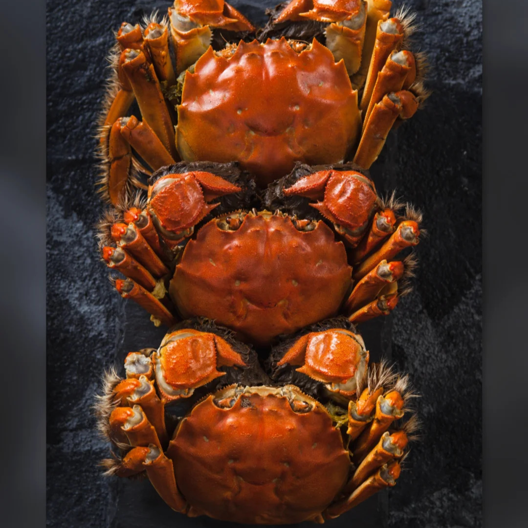 【活蟹】江苏精品大闸蟹 全公蟹6.0-5.7两公蟹 拍6只送2只到手8只 顺丰京东空运