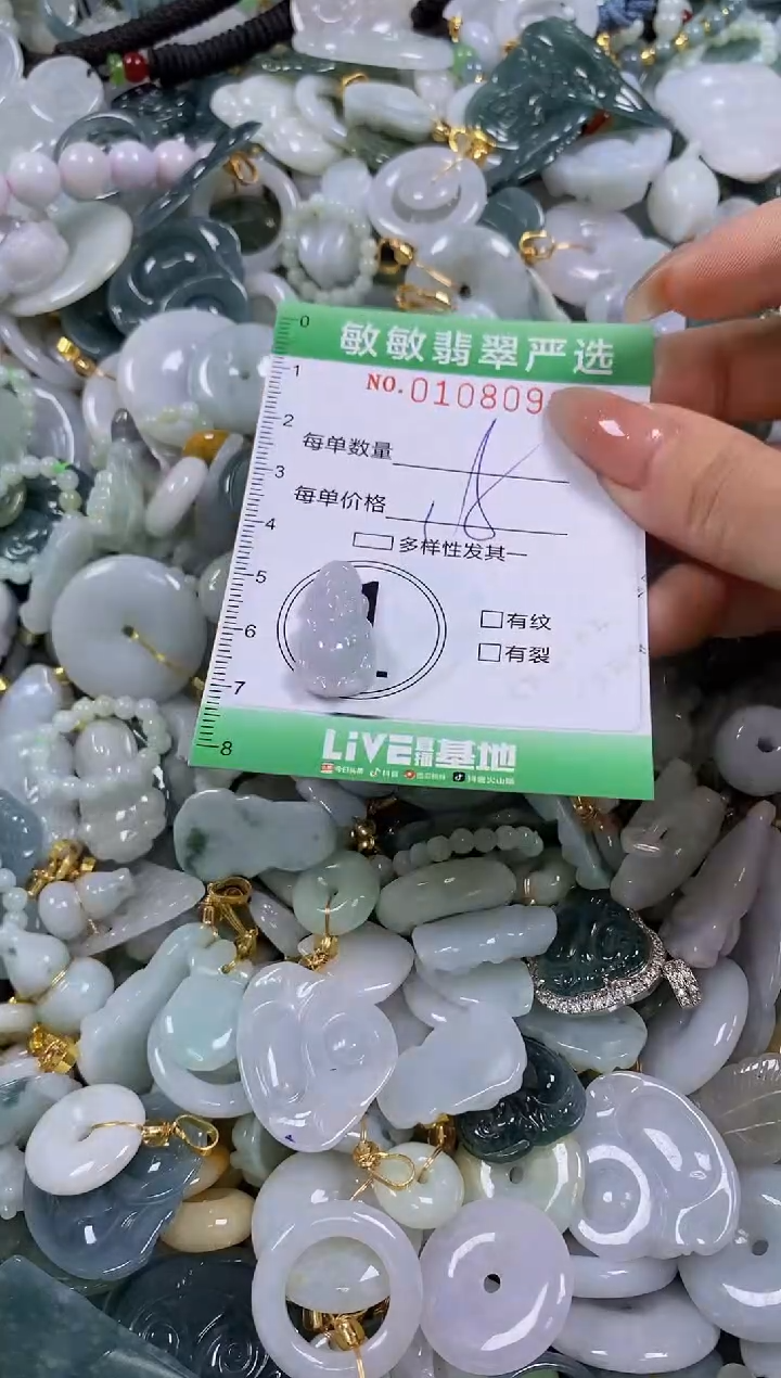 【闪购商品】翡翠颈饰未镶嵌闪购0108090