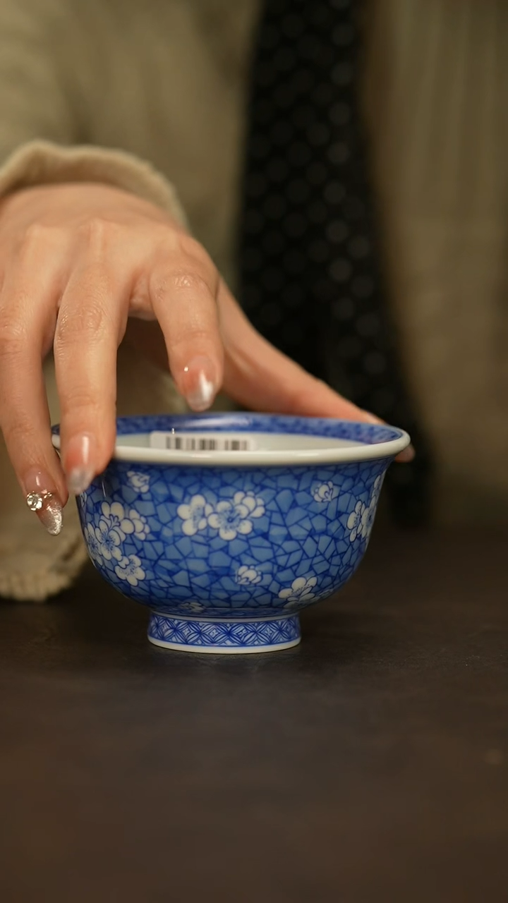 【闪购商品】瓷片春生               