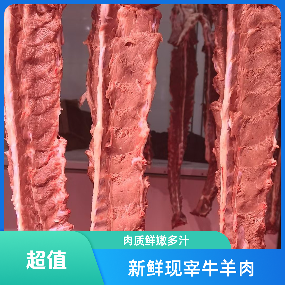 网红爆款：精品羊蝎子一根 5.5-6斤 火锅食材