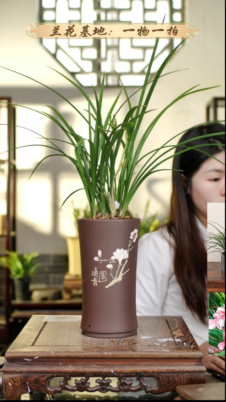 完全开放盆子   20