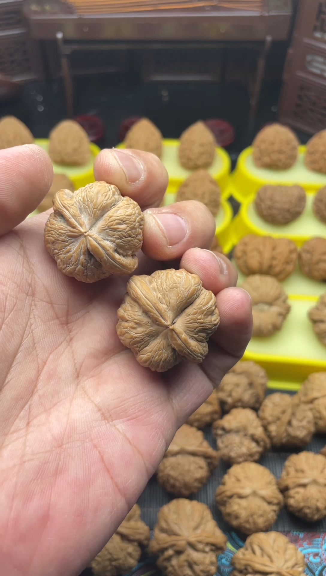 【闪购商品】文玩核桃把件肚30边.32异形小元宝