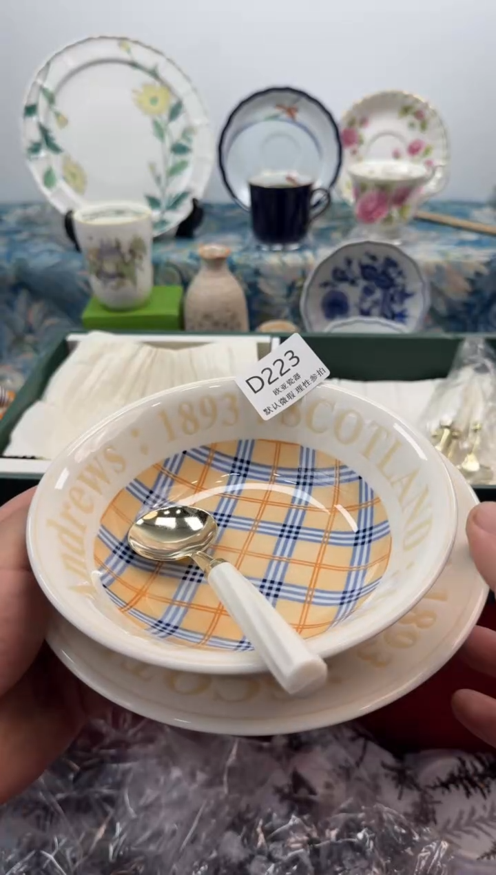 瓷片洋**忆          D223