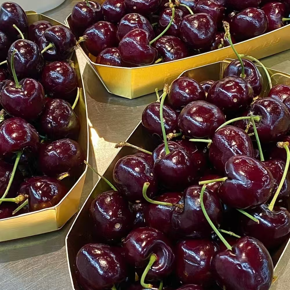 金都乐 车厘子 2JD（原箱4斤）【个别有机械伤 介意勿拍】空运桑提娜