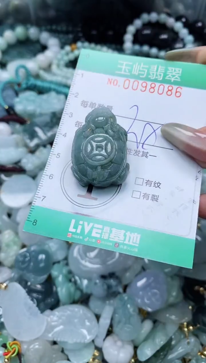 【闪购商品】翡翠未镶嵌颈饰闪购0098086