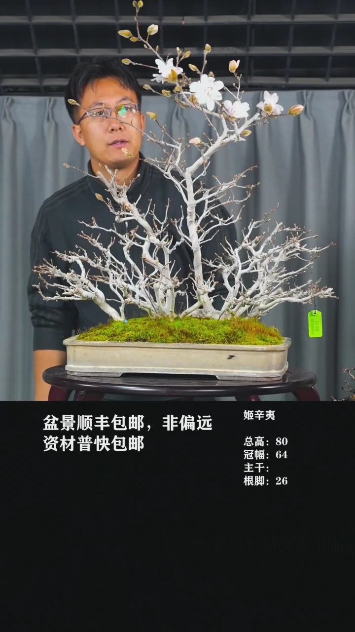 【闪购商品】-姬辛夷
