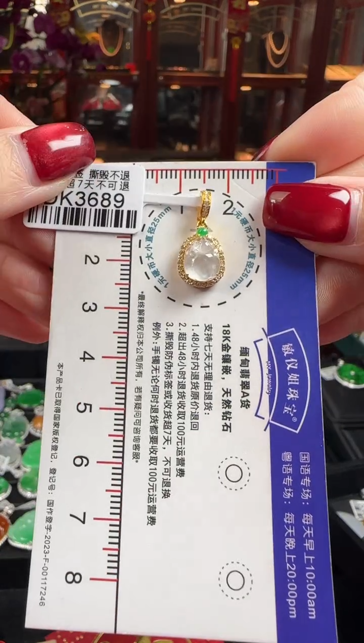 【闪购商品】翡翠颈饰18K金镶嵌DK3689冰貔貅（活动扣头）