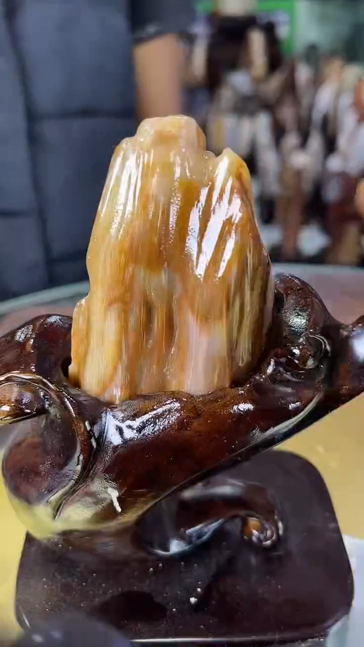 未镶嵌珠宝奇石硅化玉缅甸天然树化玉摆件