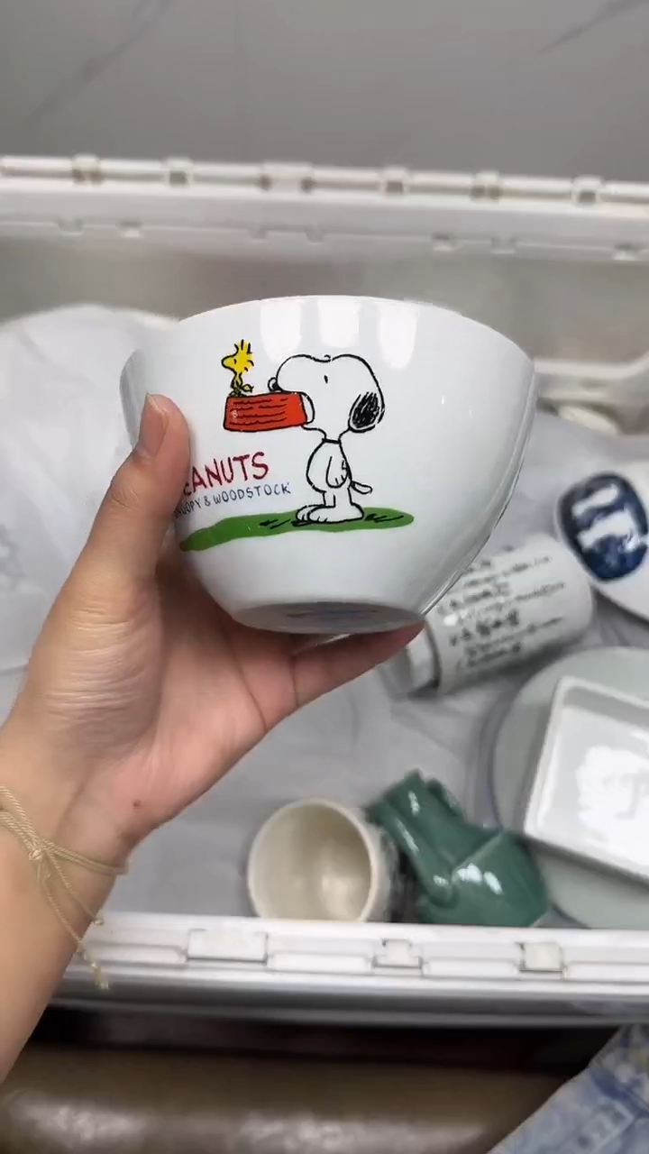 【闪购商品】333回流瓷器默认微瑕，18.8包邮1