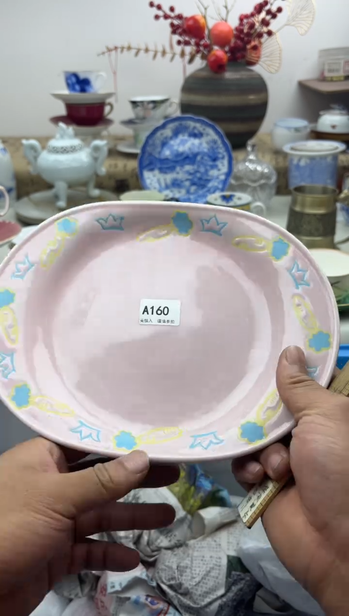 【闪购商品】碟A160............