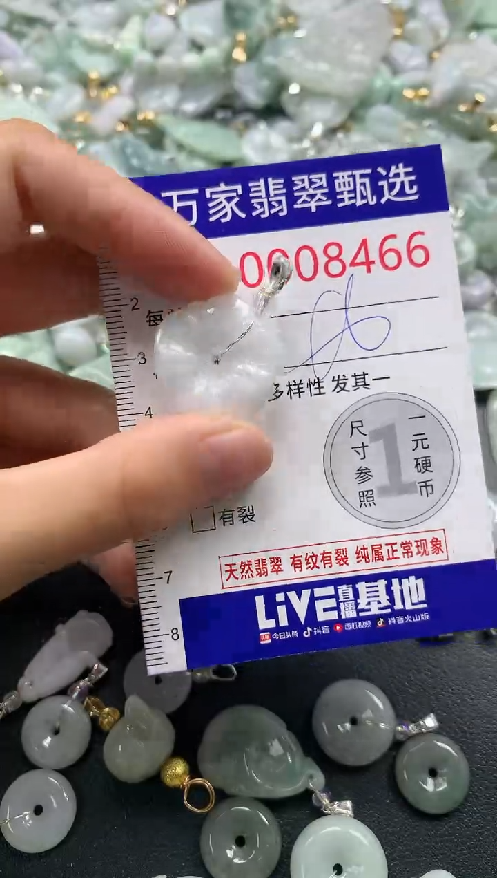 吊坠(不含链)未镶嵌翡翠8466