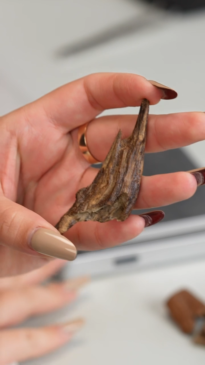 沉香沉香碎屑富森红土沉水料5克