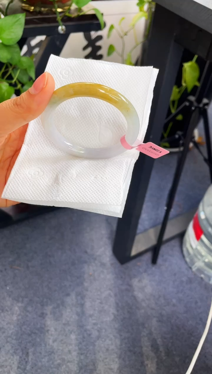 未镶嵌手镯翡翠110-52