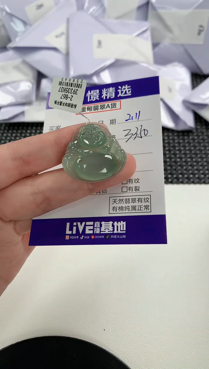 【闪购商品】翡翠颈饰未镶嵌90         
