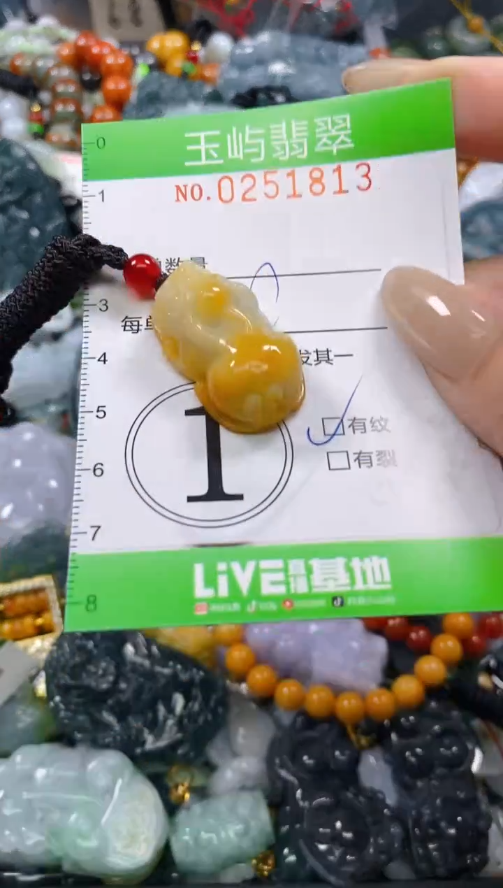 颈饰未镶嵌翡翠闪购0251813