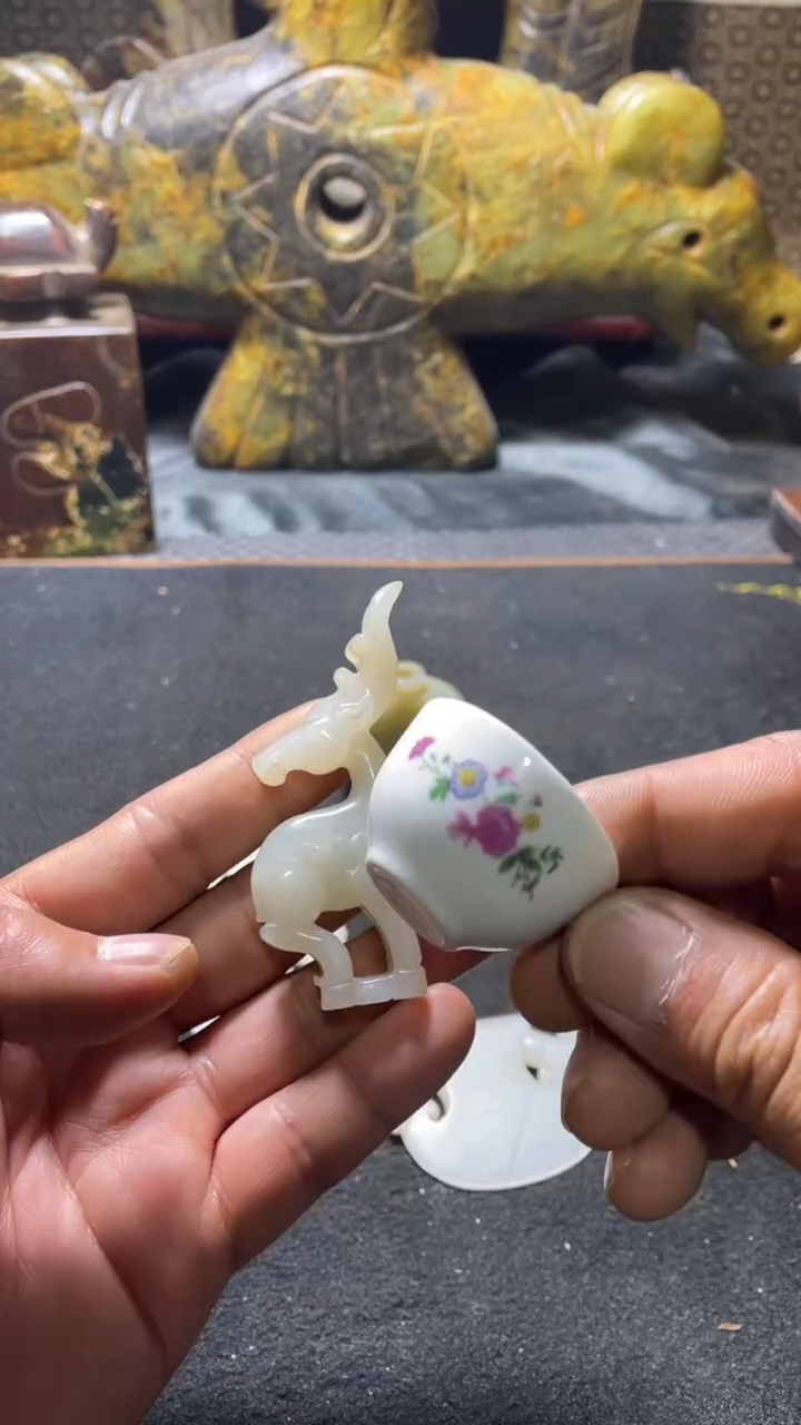 瓷片主播推荐好物
