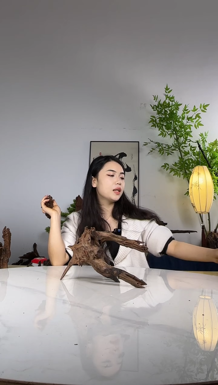 金*方拍沉木定向链接编号30