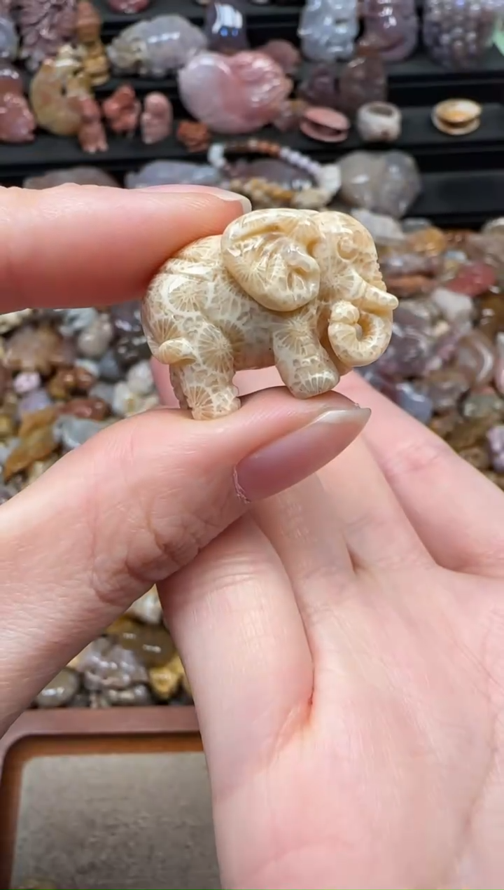 颈饰未镶嵌硅化珊瑚（珊瑚玉）644