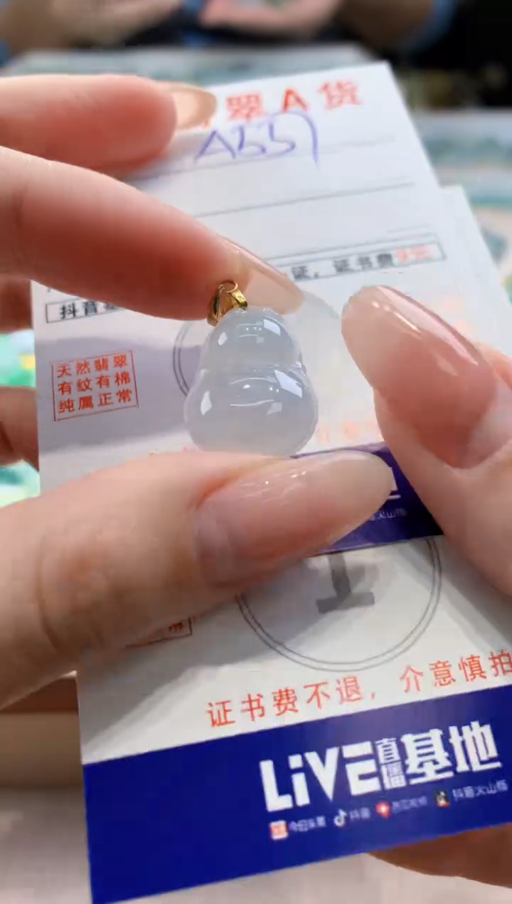 颈饰未镶嵌翡翠天然翡翠挂件 