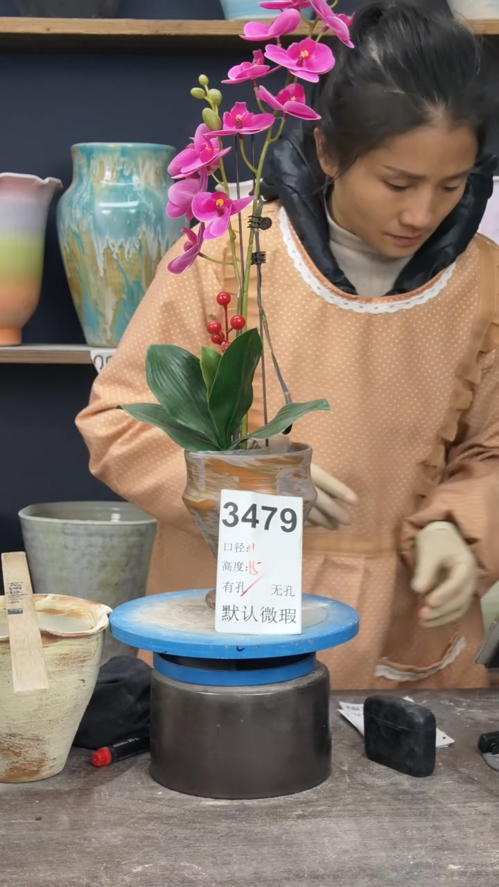 景德镇陶园花盆3479