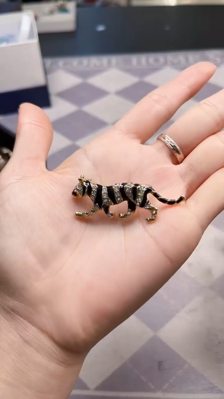 非金属无如图所示时尚饰品