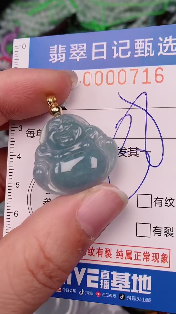 【闪购商品】翡翠颈饰未镶嵌00000716