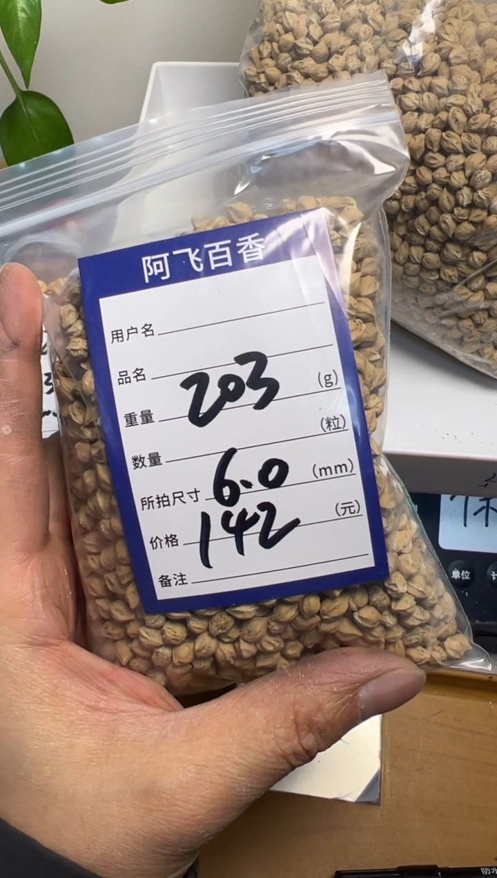 【闪购商品】柏香籽/百香籽吊坠142