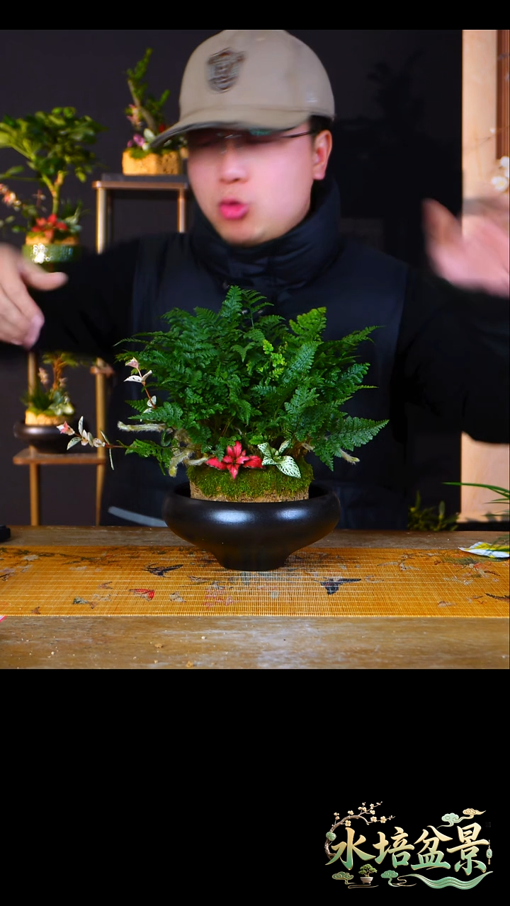 石云社一物一拍组合盆栽26