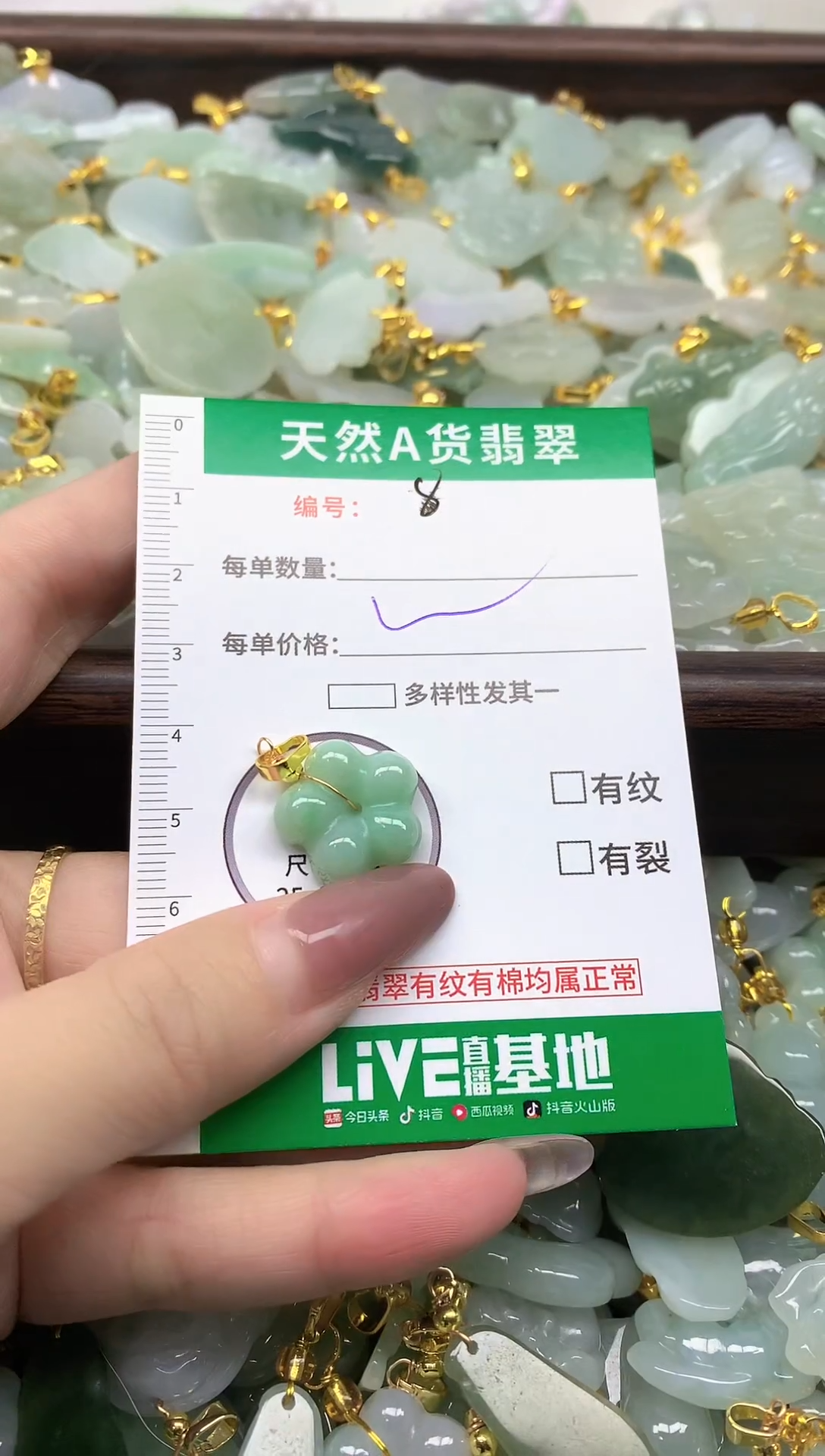 颈饰未镶嵌翡翠纯天然缅甸A货翡翠-8