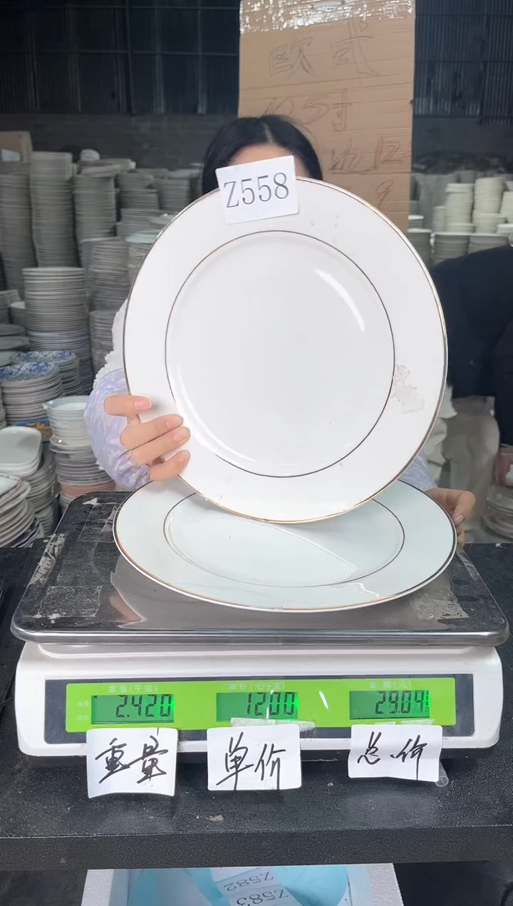 【闪购商品】搪瓷Z558  10.5寸  2个
