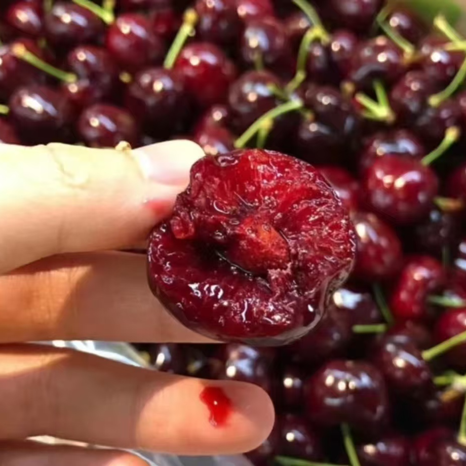 海运智利桑提娜2 J3J4J车厘子一箱5斤装桑提娜智利