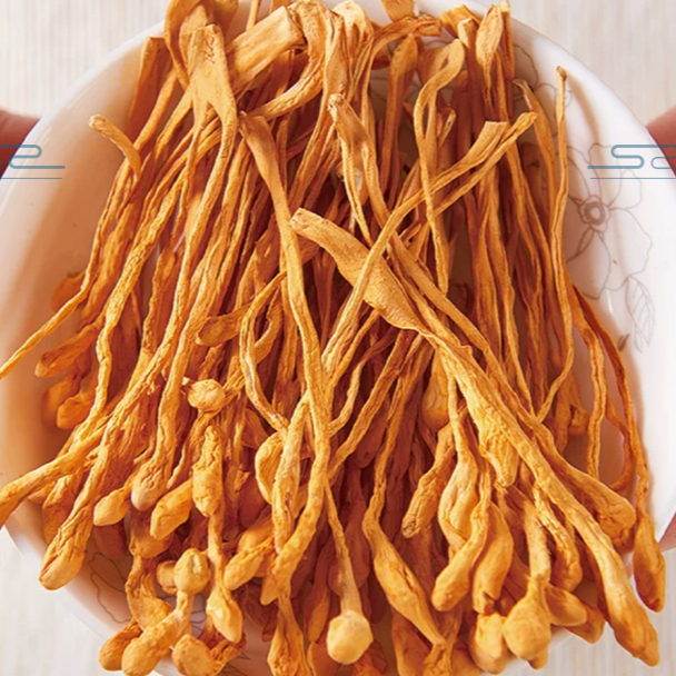【宝玉哥】虫草花精选头茬干货煲汤营养食材