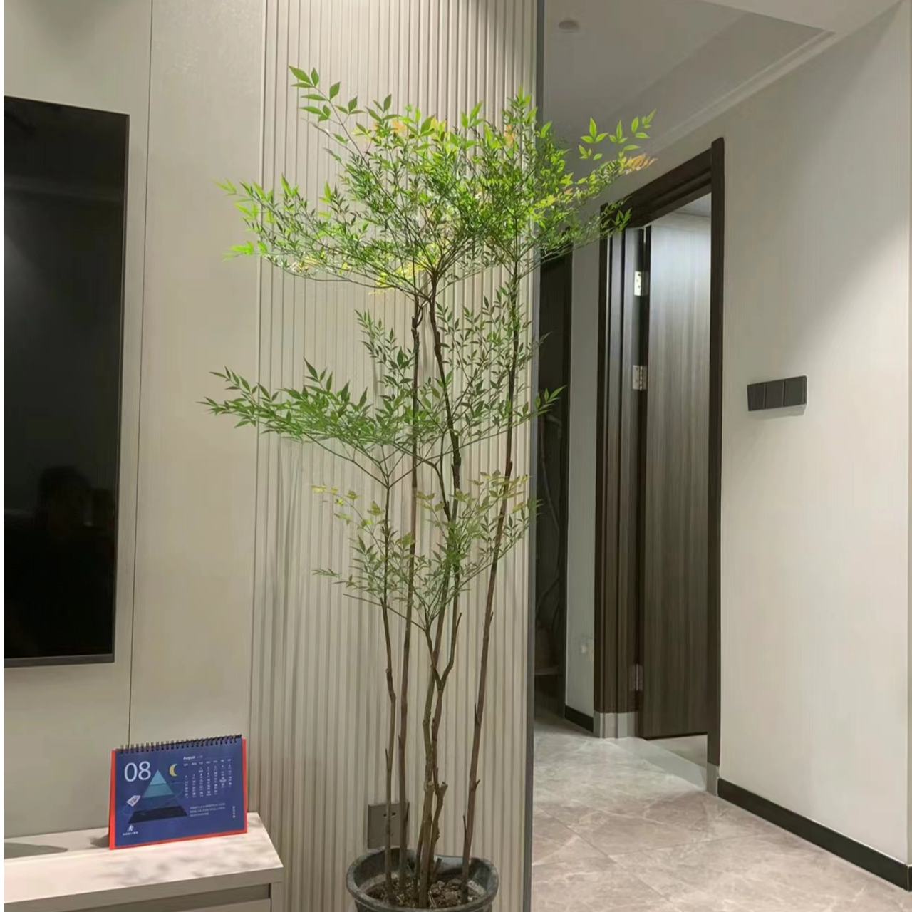 火焰南天竹室内室外禅意风绿植庭院造景大型盆栽