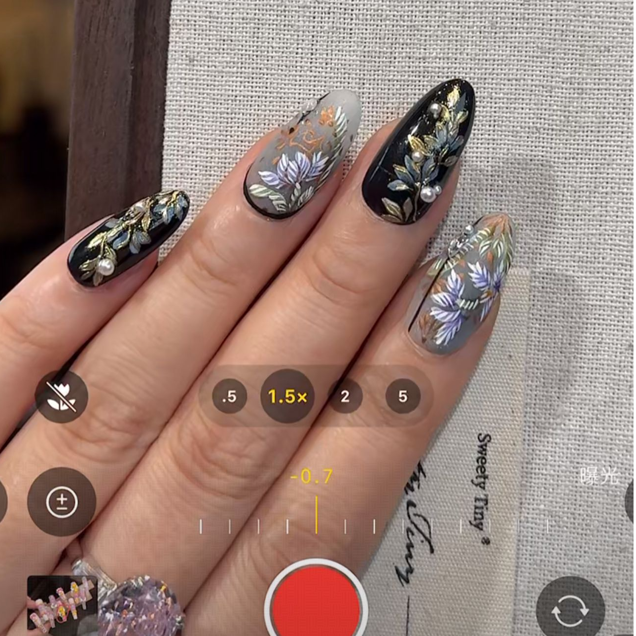 EilyNail 一梨【刺绣】轻奢高定手手绘刺绣珐琅手工穿戴甲