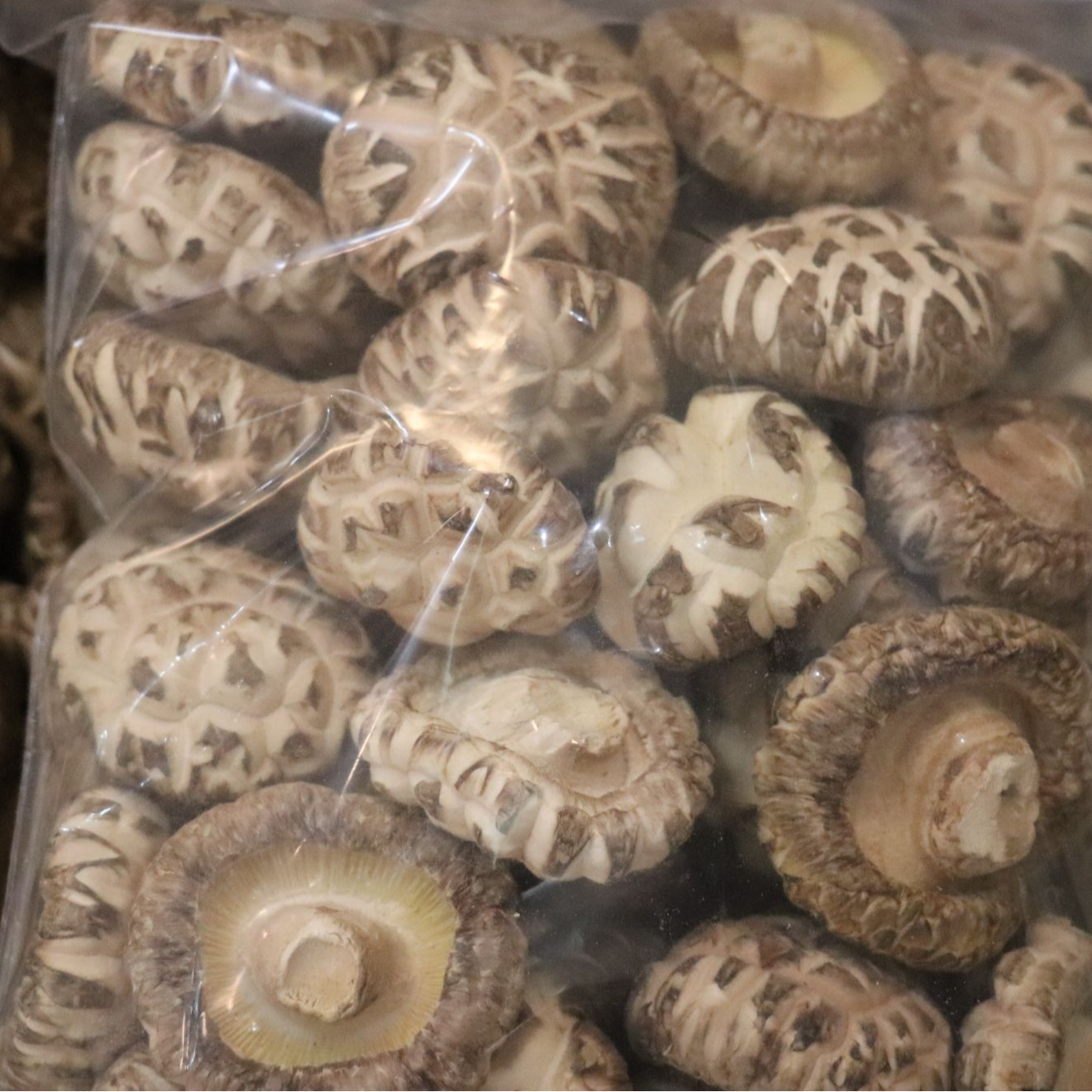 精选伏牛山栎木花菇干香菇可煲汤爆炒