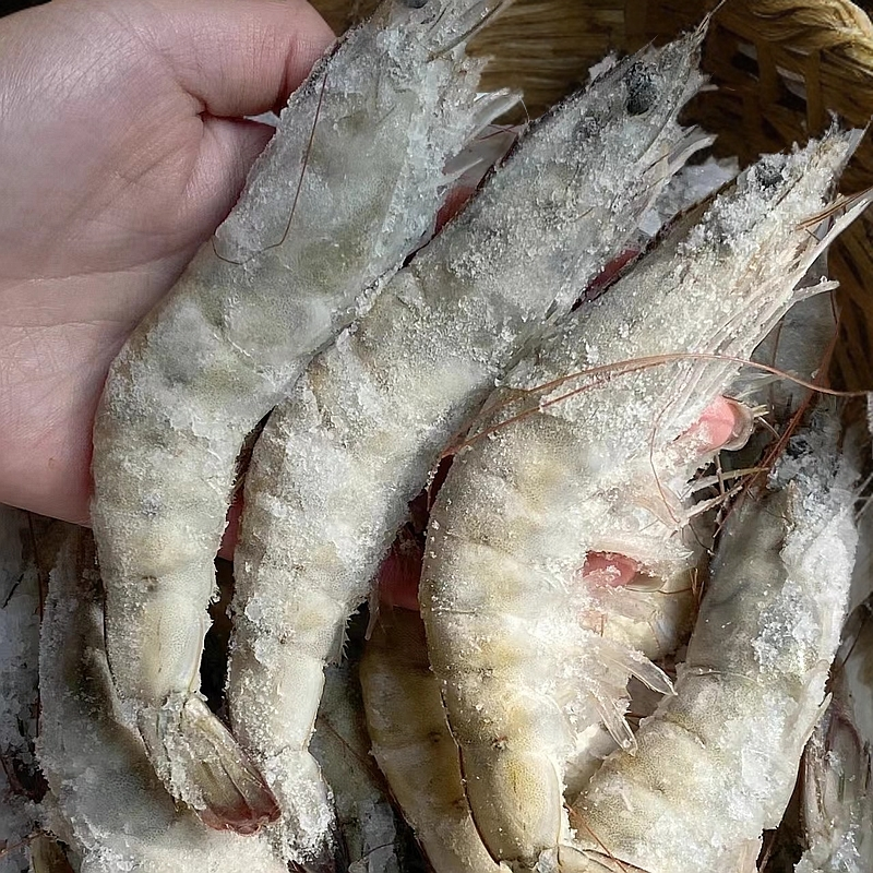 【盐冻大虾昆明全城配送】盐冻50-60规格  海洋大虾  极速锁鲜  新鲜活冻kg 