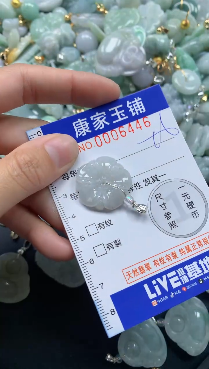 颈饰未镶嵌翡翠6446