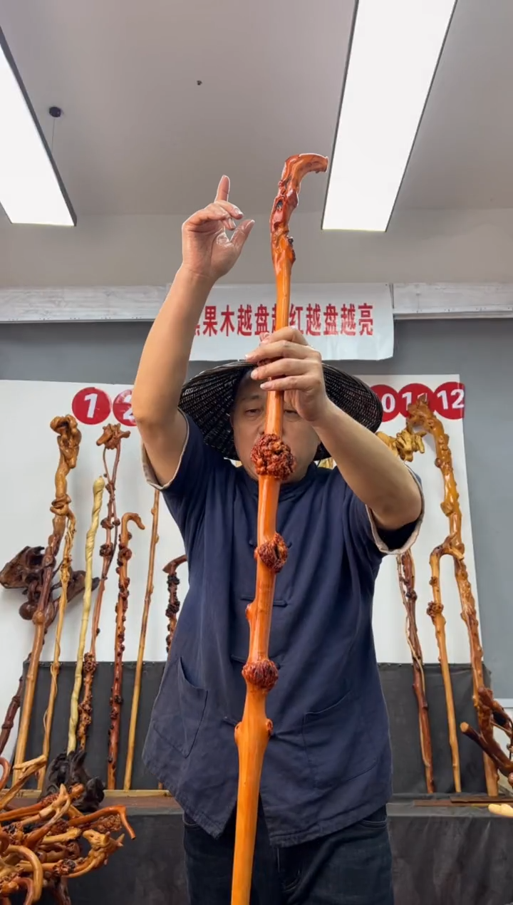 【闪购商品】黑果木其他黑果木308