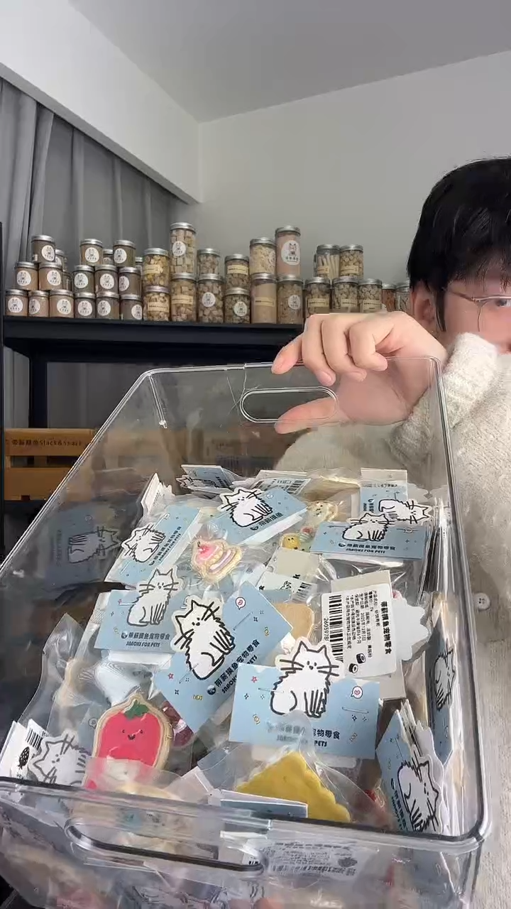 淋面饼干随机10个包邮  有大有小图案随机