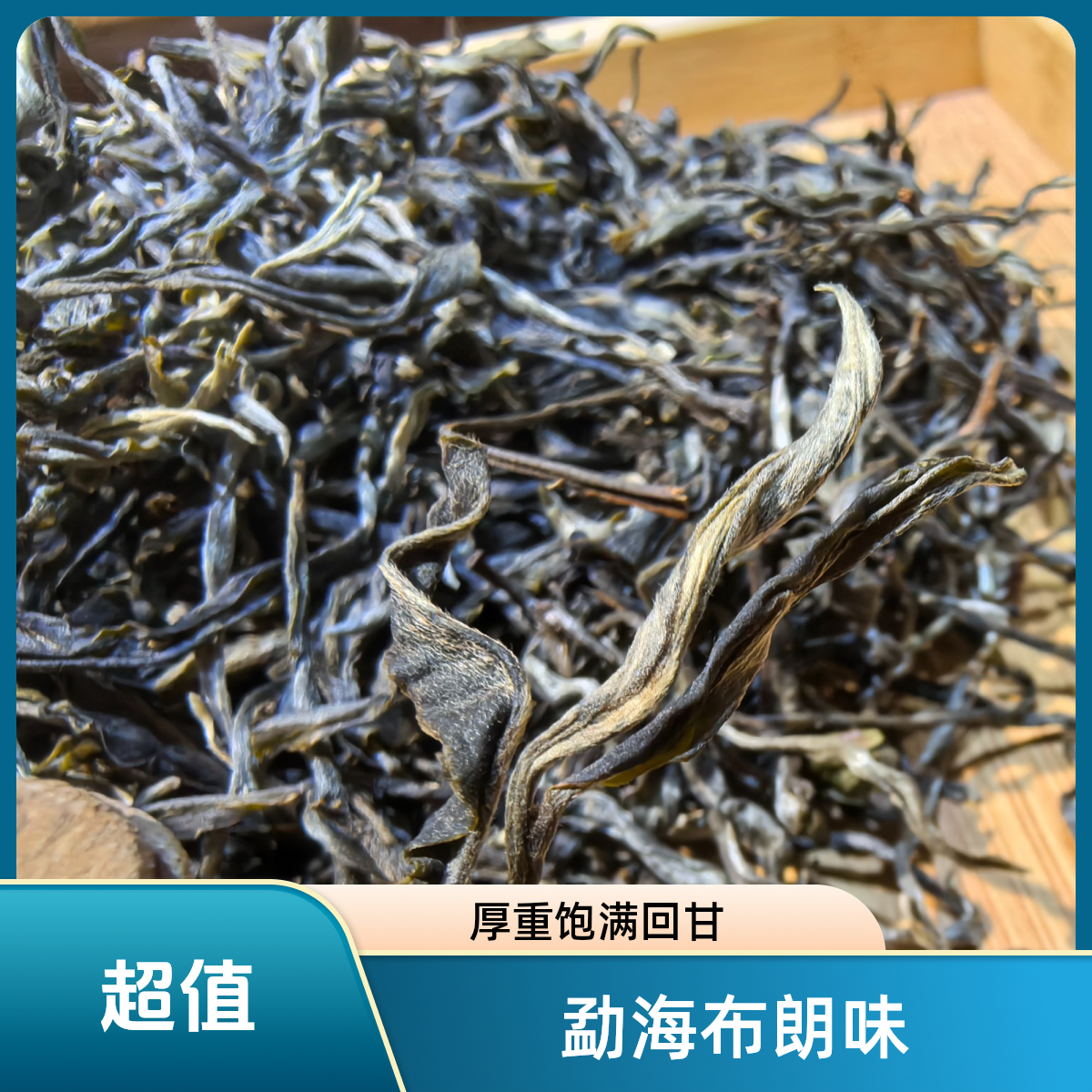 2025春勐海味布朗山高山大树茶普洱茶生茶滋味厚重回甘生津