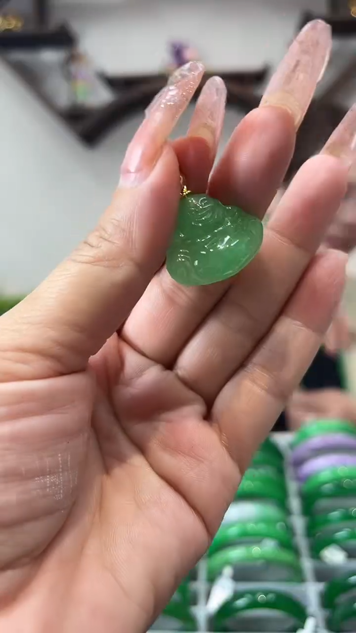 【闪购商品】翡翠吊坠(赠链)未镶嵌h10 吊坠