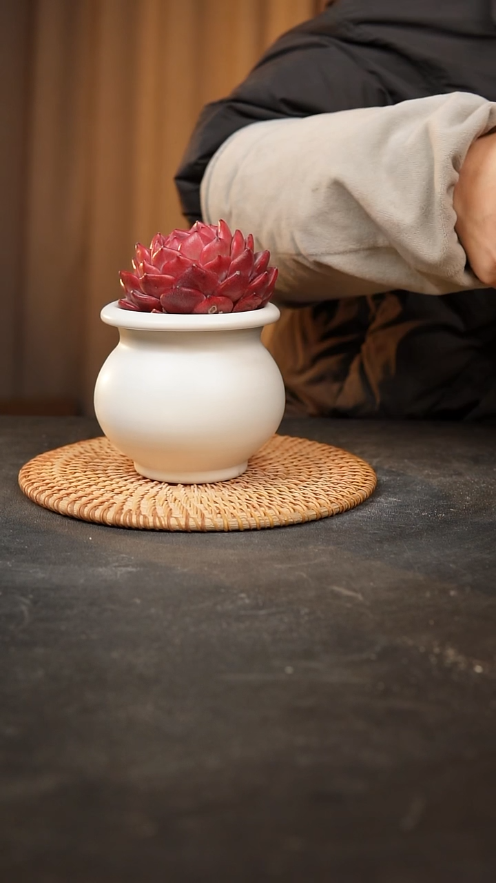 【闪购商品】瓷片泥泥手工花盆口7