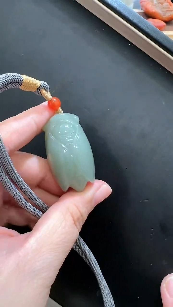 【闪购商品】和田玉颈饰未镶嵌蝉