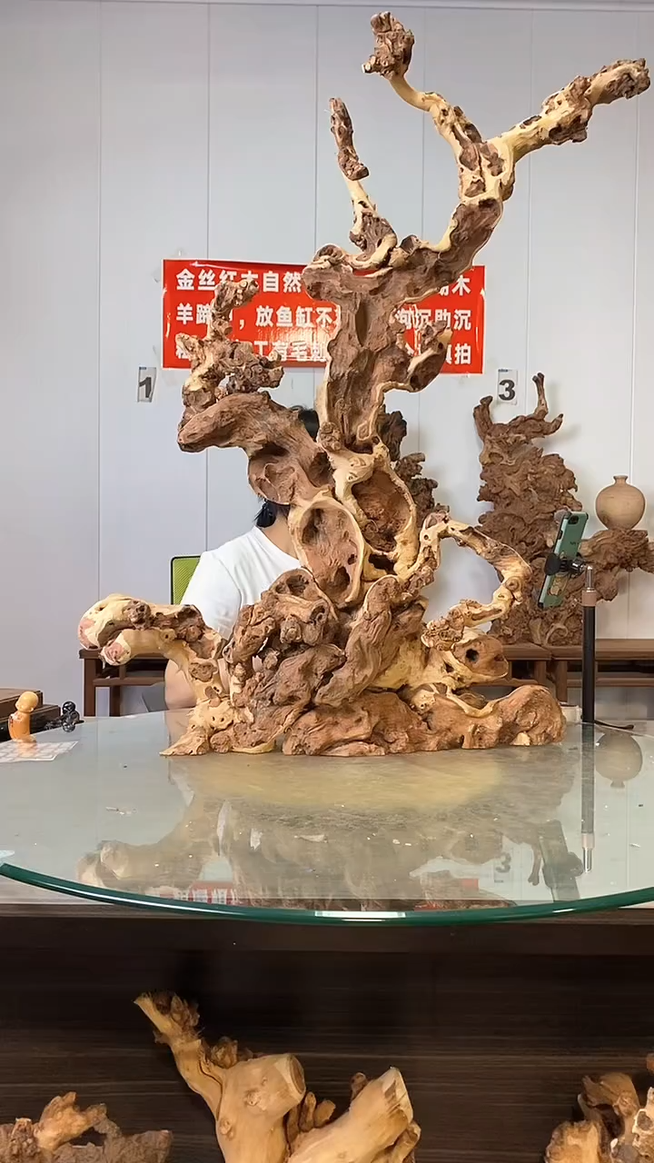 香榧木金丝红木  羊蹄甲