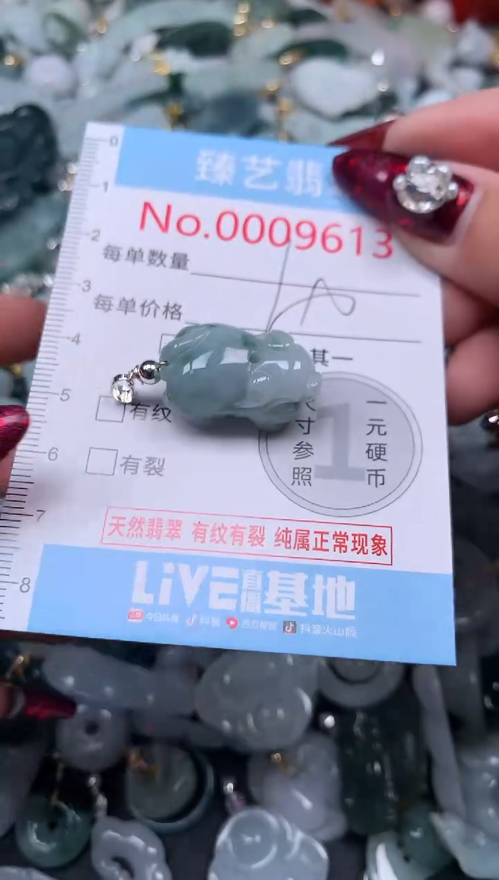 颈饰未镶嵌翡翠9613