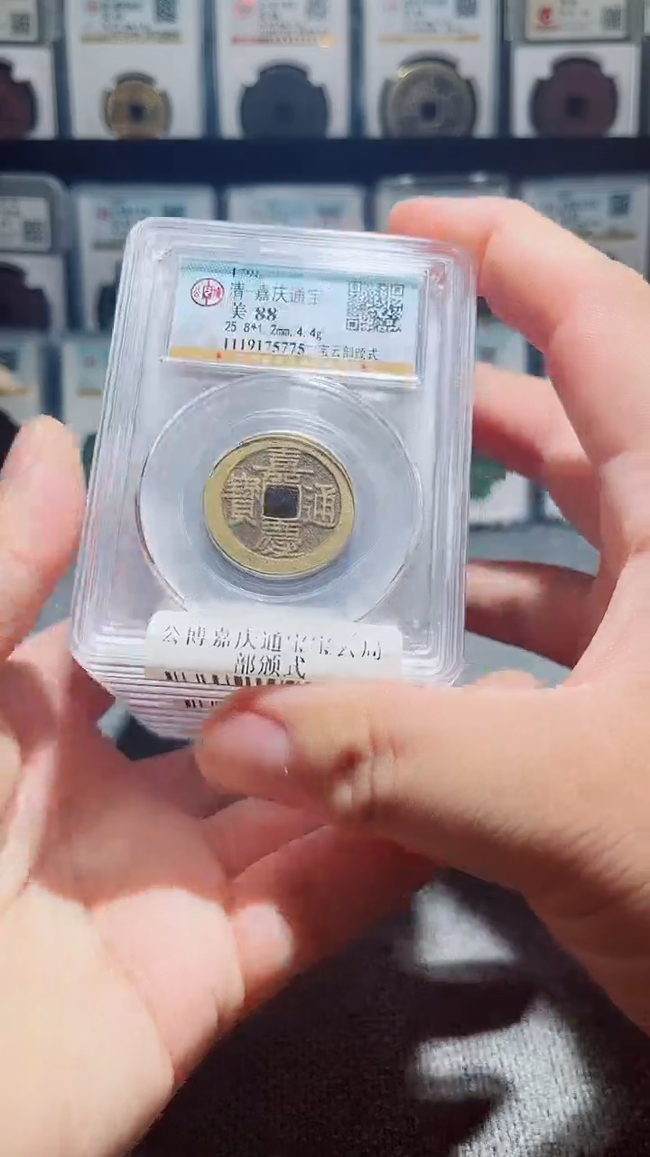 铜A028风公博嘉庆通宝宝云部颁式88分